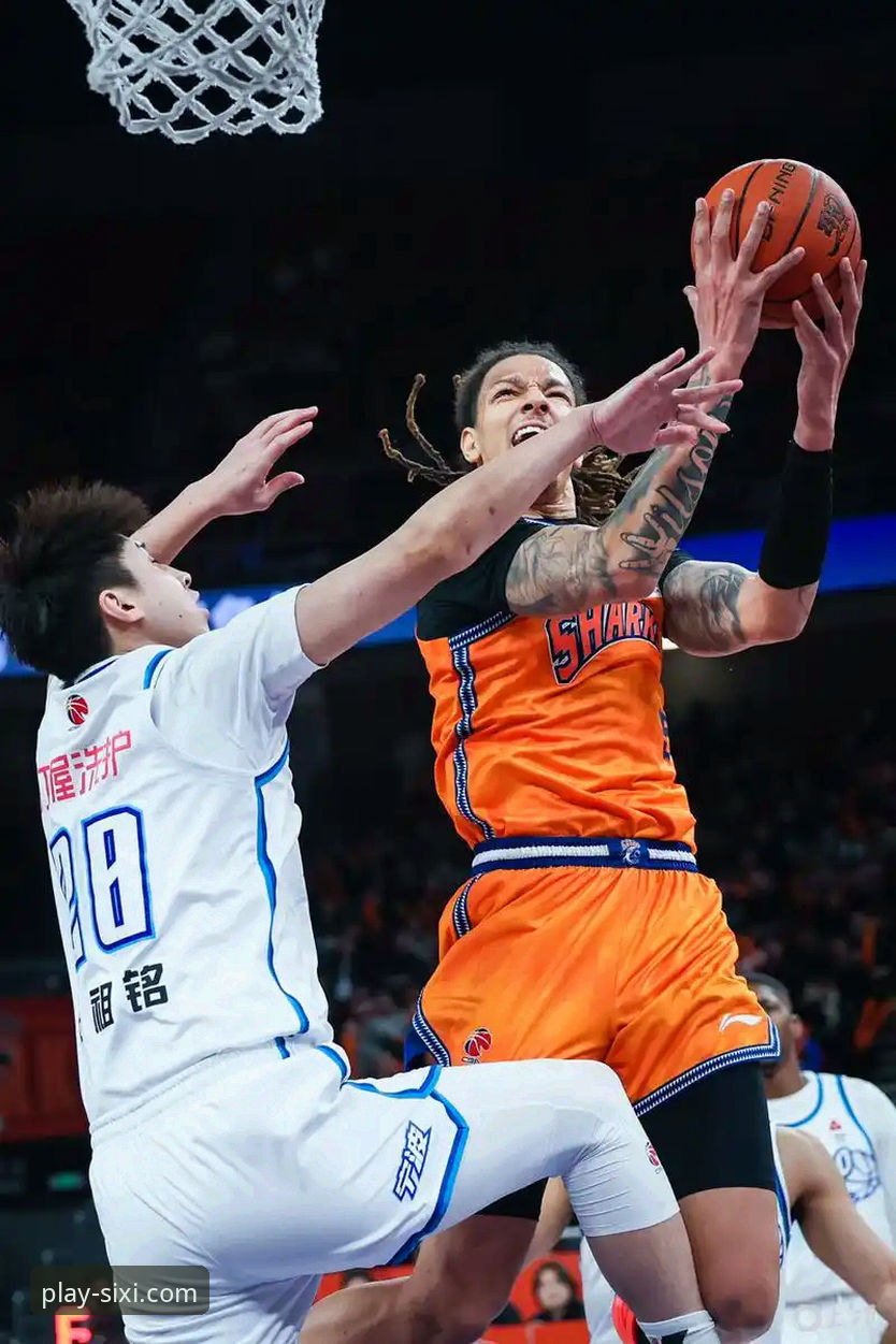 上海男篮十二连胜登顶之路：一次基于四喜体育平台的专业赛事深度评测